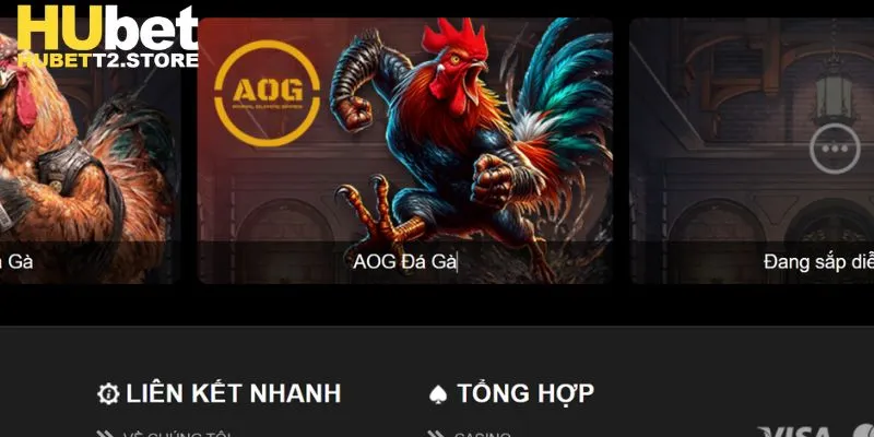 Đá gà Hubet có quy luật thi đấu rõ ràng, dễ hiểu