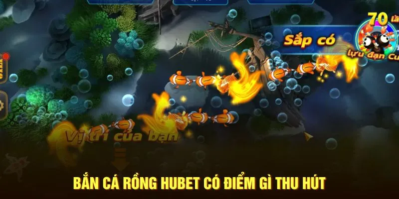 Bắn cá Rồng Hubet có điểm gì thu hút 
