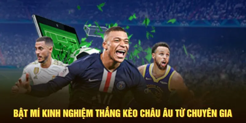 Bật mí kinh nghiệm thắng kèo châu Âu từ chuyên gia
