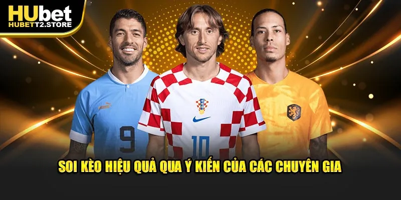 Soi kèo hiệu quả qua ý kiến của chuyên gia 